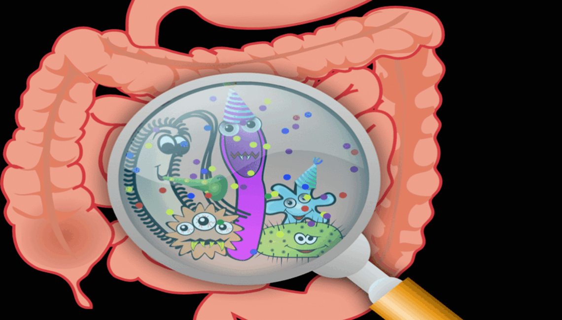 Therapeutic Strategy and Role of Homoeopathy in a Case of Acute Gastroenteritis Induced Prerenal Azotemia as a Consequence of Typhoid Fever